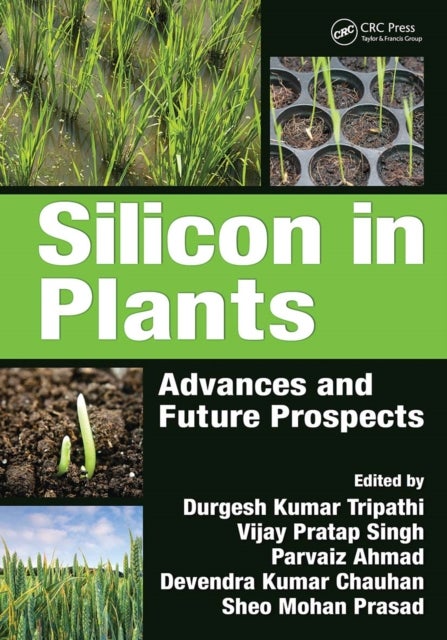 Silicon in Plants - Advances and Future Prospects