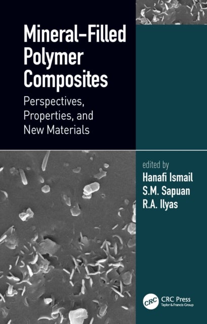 Mineral-Filled Polymer Composites - Perspectives, Properties, and New Materials