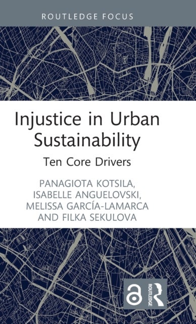 Injustice in Urban Sustainability - Ten Core Drivers