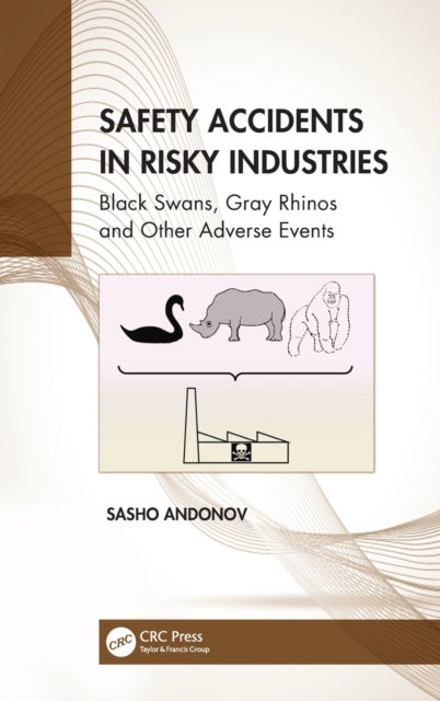 Safety Accidents in Risky Industries - Black Swans, Gray Rhinos and Other Adverse Events