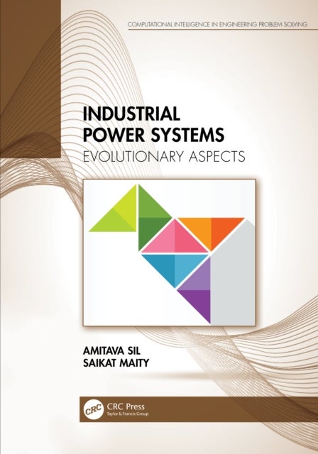 Industrial Power Systems - Evolutionary Aspects
