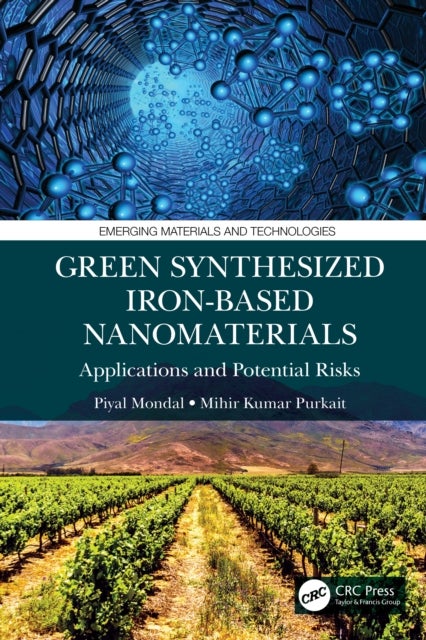 Green Synthesized Iron-based Nanomaterials - Applications and Potential Risks