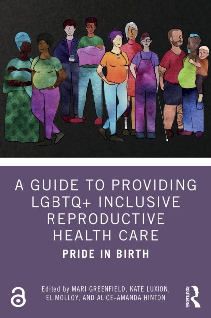 A Guide to Providing LGBTQ+ Inclusive Reproductive Health Care - Pride in Birth