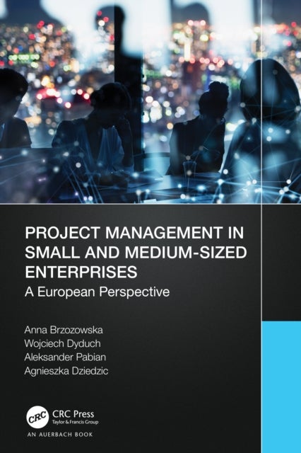 Project Management in Small and Medium-Sized Enterprises - A European Perspective
