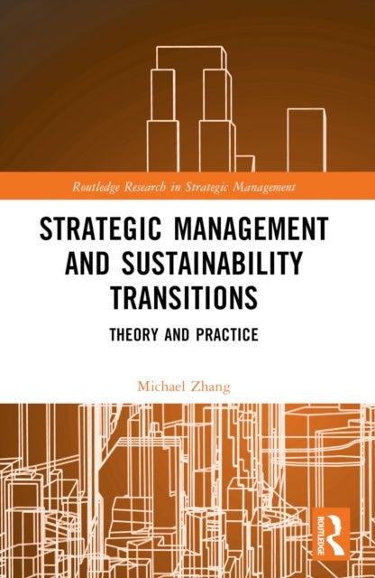 Strategic Management and Sustainability Transitions - Theory and Practice