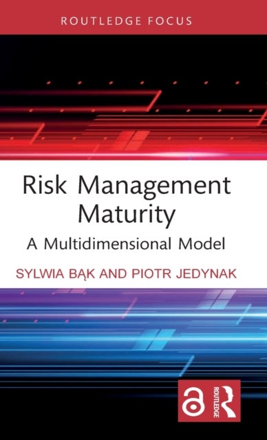 Risk Management Maturity - A Multidimensional Model