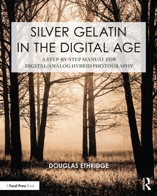 Silver Gelatin In the Digital Age - A Step-by-Step Manual for Digital/Analog Hybrid Photography