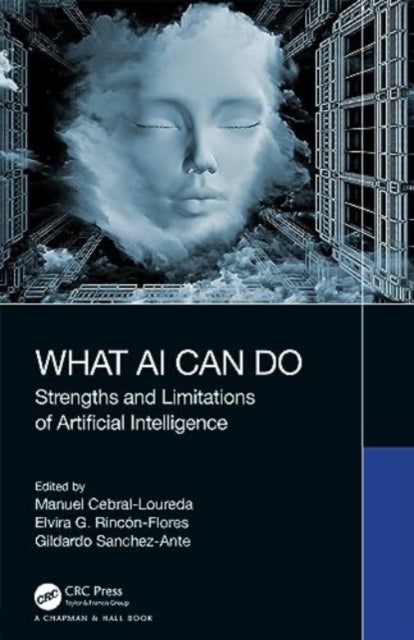 What AI Can Do - Strengths and Limitations of Artificial Intelligence