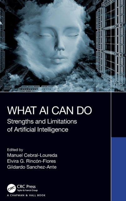 What AI Can Do - Strengths and Limitations of Artificial Intelligence
