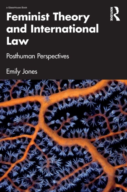 Feminist Theory and International Law - Posthuman Perspectives
