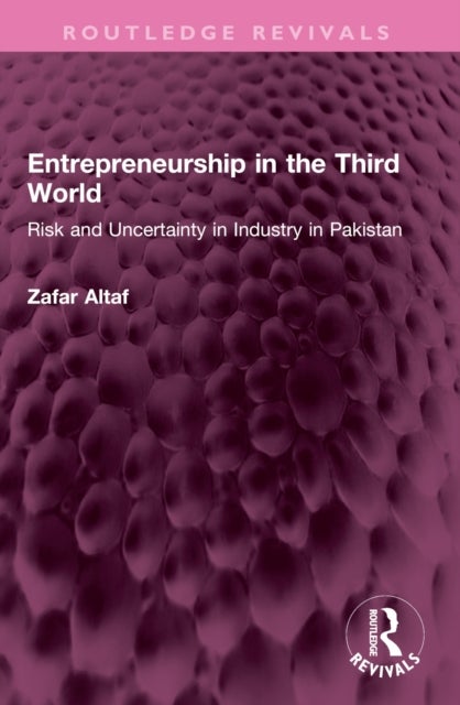 Entrepreneurship in the Third World - Risk and Uncertainty in Industry in Pakistan