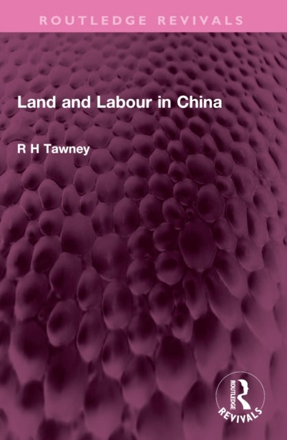 Land and Labour in China