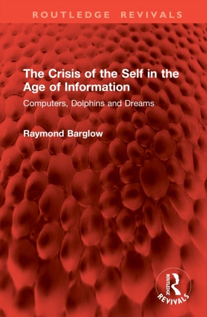 The Crisis of the Self in the Age of Information - Computers, Dolphins and Dreams
