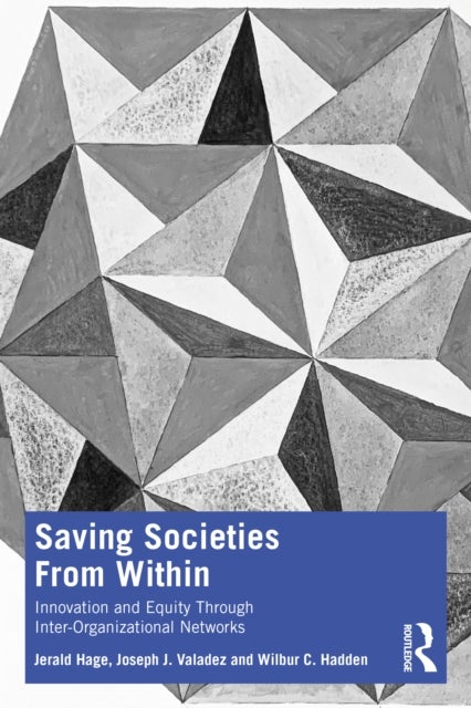 Saving Societies From Within - Innovation and Equity Through Inter-Organizational Networks