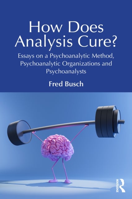 How Does Analysis Cure? - Essays on a Psychoanalytic Method, Psychoanalytic Organizations and Psychoanalysts