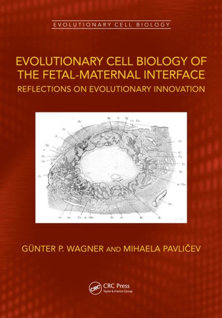 Evolutionary Cell Biology of the Fetal-Maternal Interface - Reflections on Evolutionary Innovation