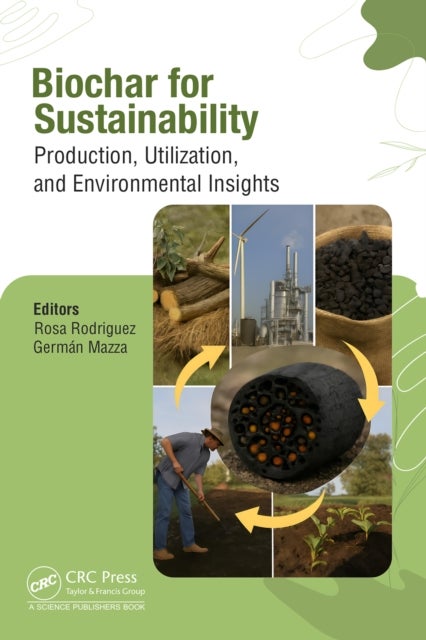 Biochar for Sustainability - Production, Utilization, and Environmental Insights