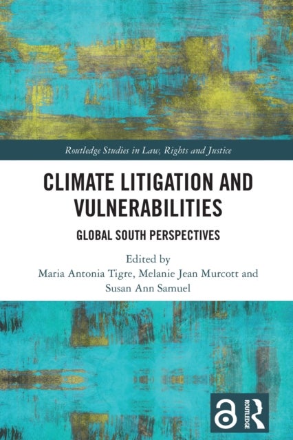 Climate Litigation and Vulnerabilities