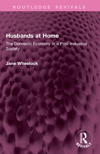 Husbands at Home - The Domestic Economy in a Post-Industrial Society
