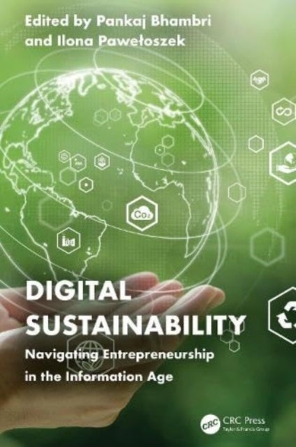Digital Sustainability - Navigating Entrepreneurship in the Information Age