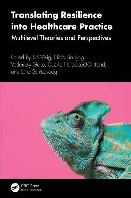 Translating Resilience into Healthcare Practice - Multilevel Theories and Perspectives