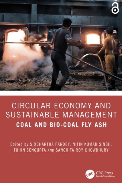 Circular Economy and Sustainable Management - Coal and Bio-Coal Fly Ash