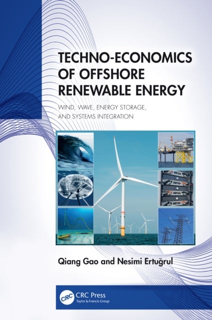 Techno-Economics of Offshore Renewable Energy - Wind, Wave, Energy Storage, and Systems Integration