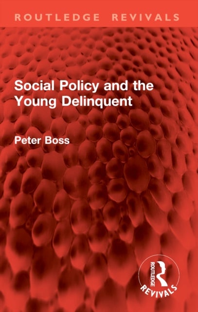 Social Policy and the Young Delinquent