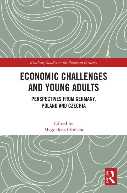 Economic Challenges and Young Adults - Perspectives from Germany, Poland and Czechia