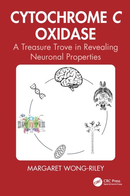 Cytochrome c Oxidase - A Treasure Trove in Revealing Neuronal Properties from Systems to Molecules