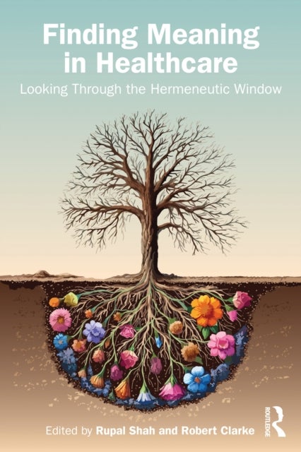 Finding Meaning in Healthcare - Looking Through the Hermeneutic Window