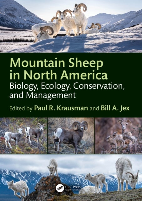 Mountain Sheep in North America - Biology, Ecology, Conservation, and Management
