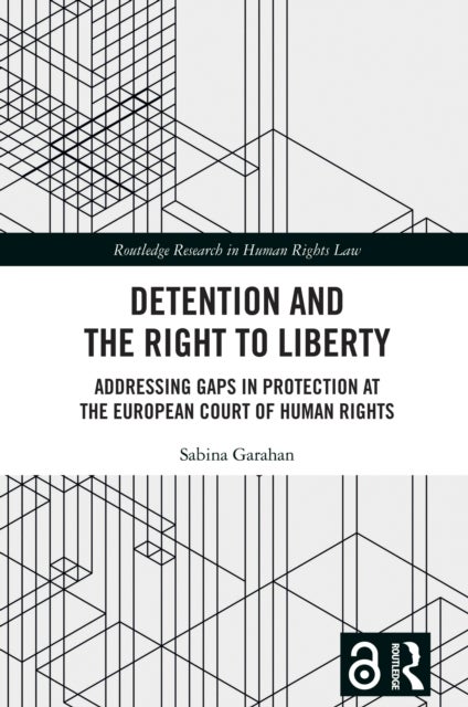 Detention and the Right to Liberty - Addressing Gaps in Protection at the European Court of Human Rights