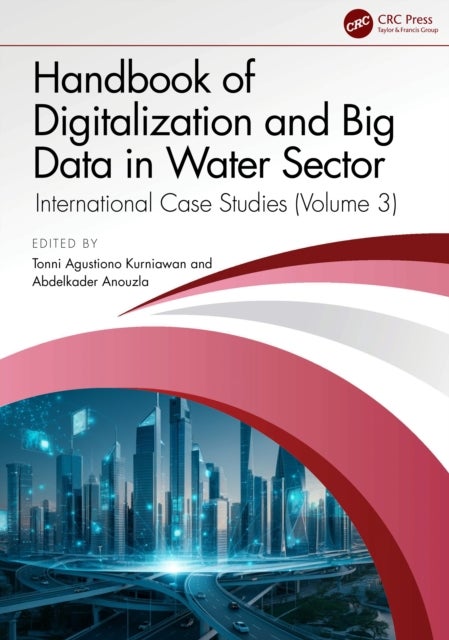 Handbook of Digitalization and Big Data in the Water Sector - International Case Studies (Volume 3)