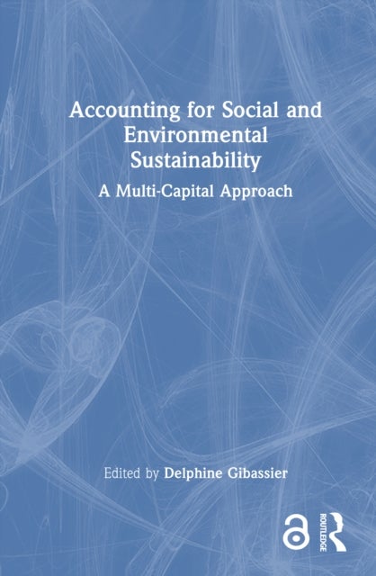 Accounting for Social and Environmental Sustainability - A Multi-Capital Approach