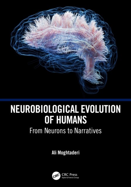 Neurobiological Evolution of Humans - From Neurons to Narratives