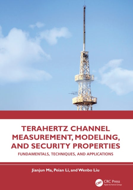 Terahertz Channel Measurement, Modeling, and Security Properties - Fundamentals, Techniques, and Applications
