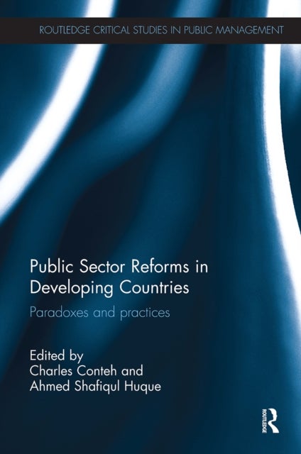 Public Sector Reforms in Developing Countries - Paradoxes and Practices