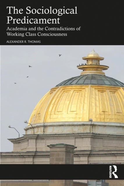 The Sociological Predicament - Academia and the Contradictions of Working Class Consciousness