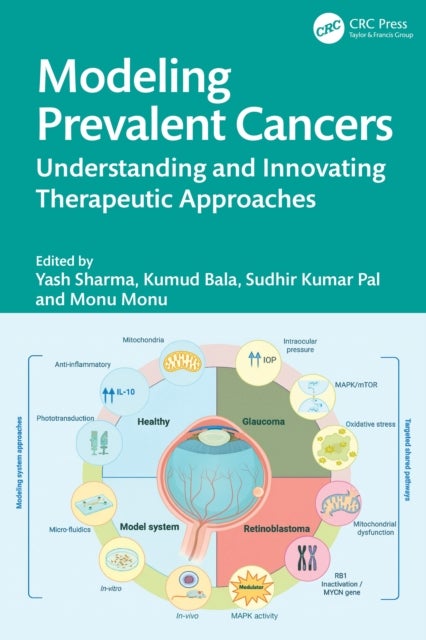 Modeling Prevalent Cancers - Understanding and Innovating Therapeutic Approaches