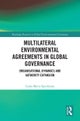 Multilateral Environmental Agreements in Global Governance