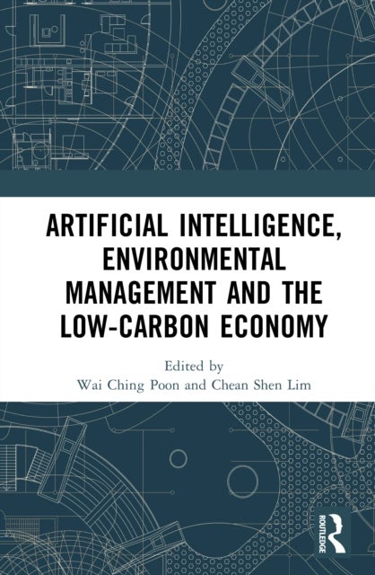Artificial Intelligence, Environmental Management, and the Low-Carbon Economy