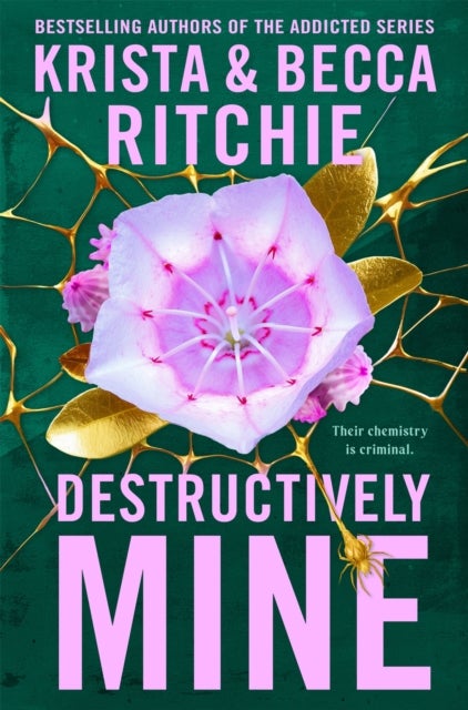 Destructively Mine - A deliciously angsty small town romance from TikTok sensations and authors of the Addicted series