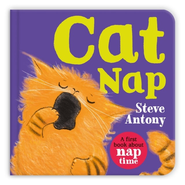 Cat Nap - A first book about naptime