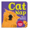 Cat Nap