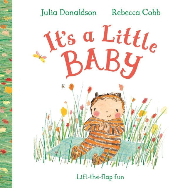 It's a Little Baby - A lift-the-flap book