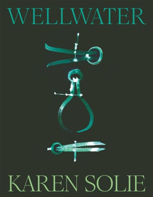 Wellwater - Winner of the Forward Prize for Best Collection