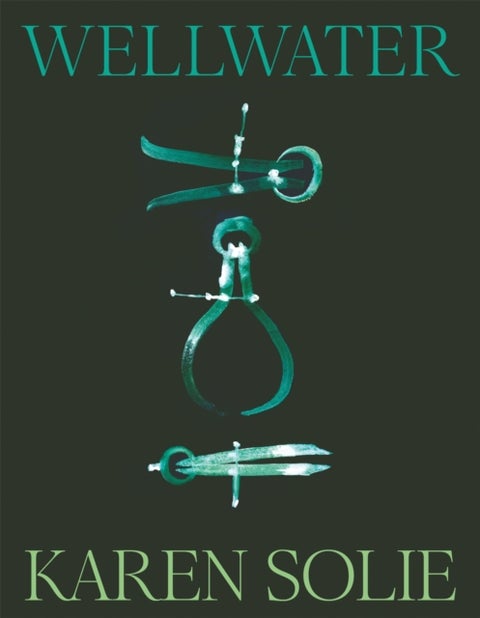 Wellwater - Winner of the Forward Prize for Best Collection