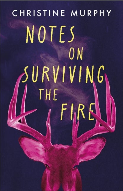 Notes on Surviving the Fire - A razor-sharp, darkly funny literary novel about male violence, a woman's vengeance, and whether killing can ever be justified