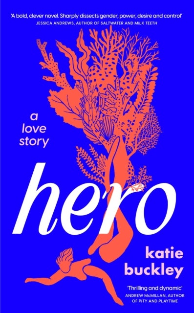 Hero - A fierce and captivating literary love story for 2025